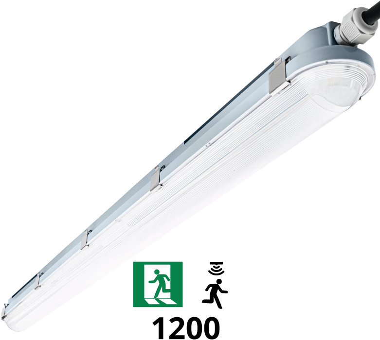 Lampe d'intérieur LED Tralert câble 200 mm avec détecteur de mouvement -  Protempo bvba